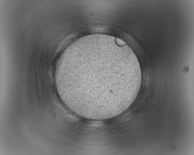 X0000112460377200909281027