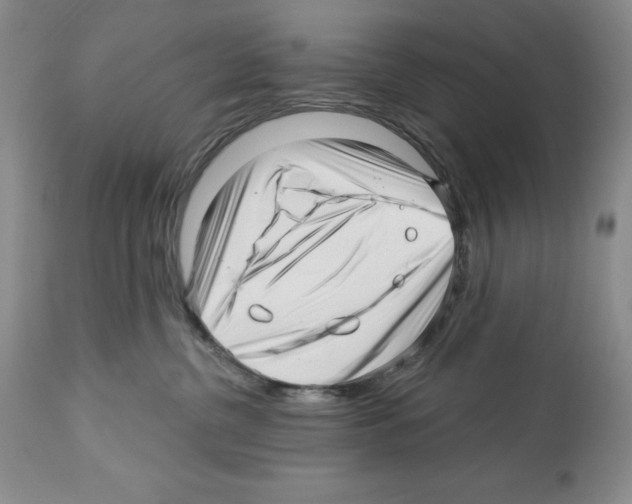 X0000112460380200909281027