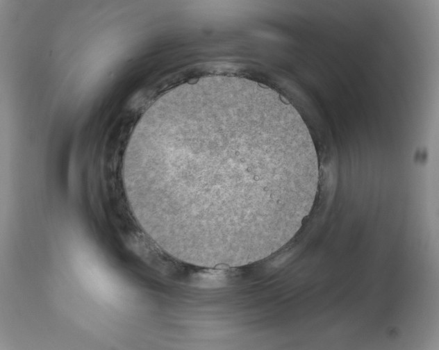 X0000112460381200909281027
