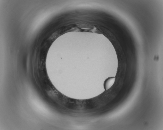 X0000112460382200909281027