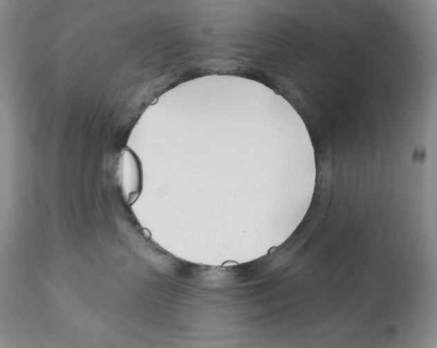 X0000112460383200909281027