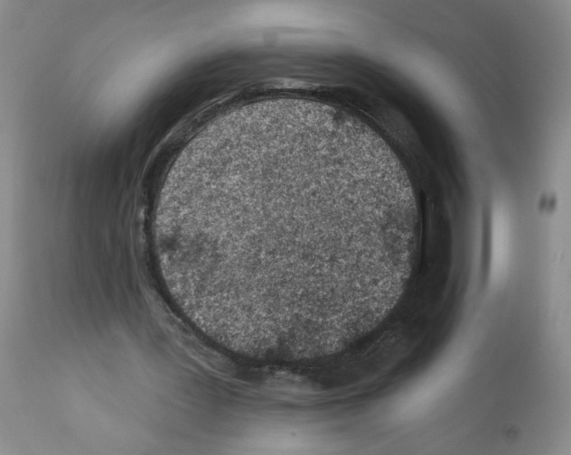 X0000112460387200909281026