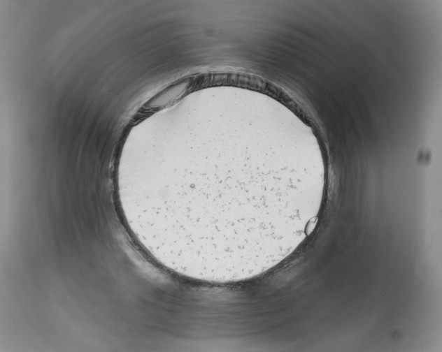 X0000112460389200909281026