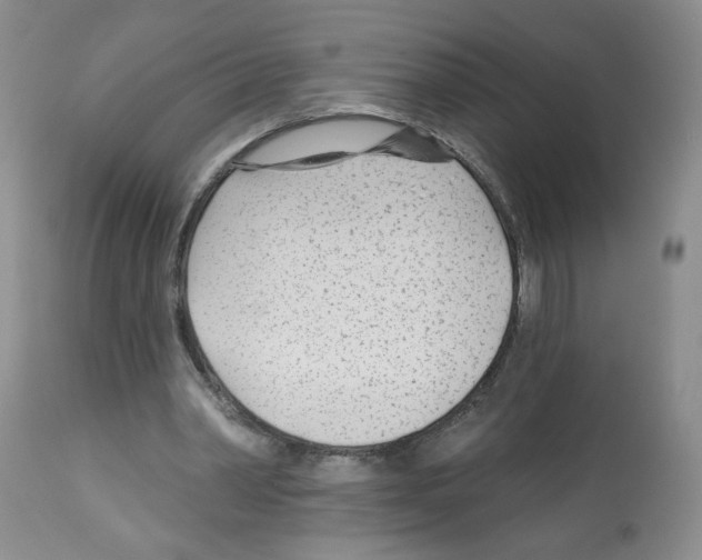 X0000112460390200909281026