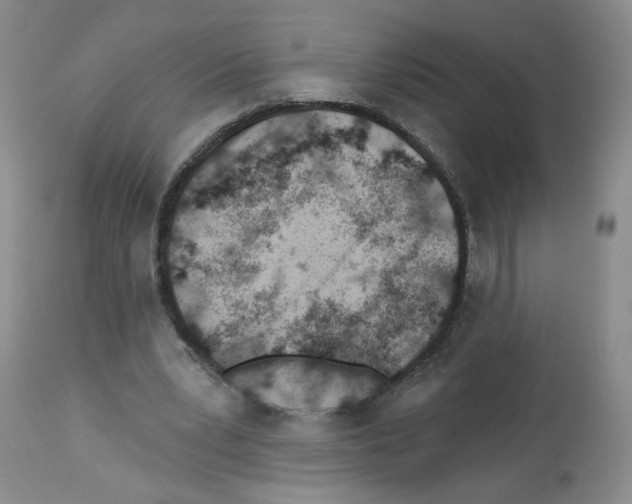 X0000112460391200909281026