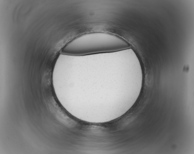 X0000112460393200909281026