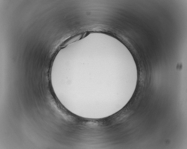 X0000112460394200909281026