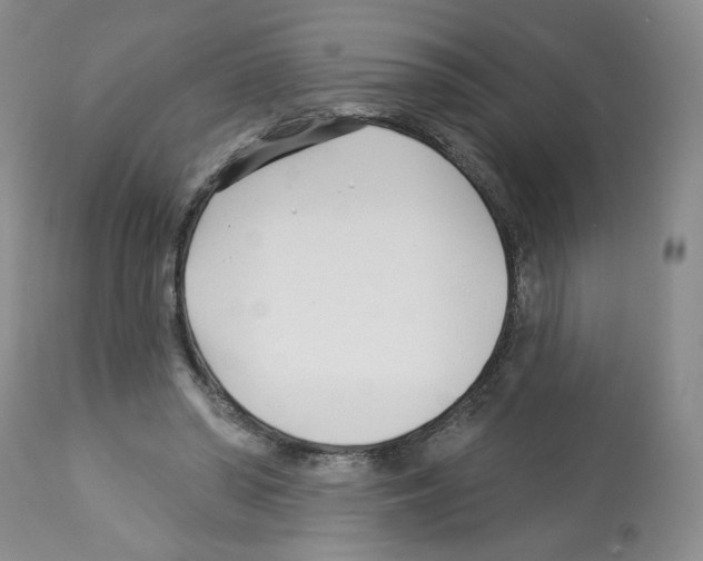 X0000112460398200909281026