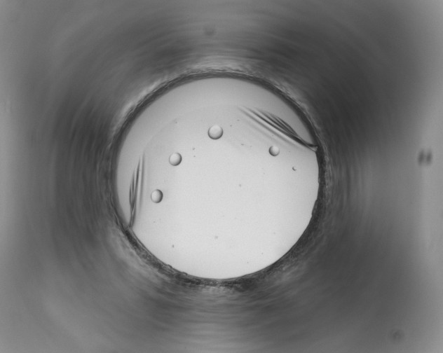 X0000112460399200909281026