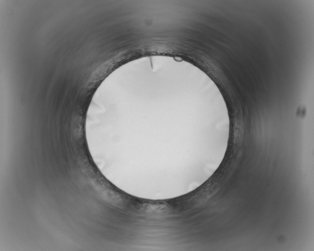 X0000112460401200909281026