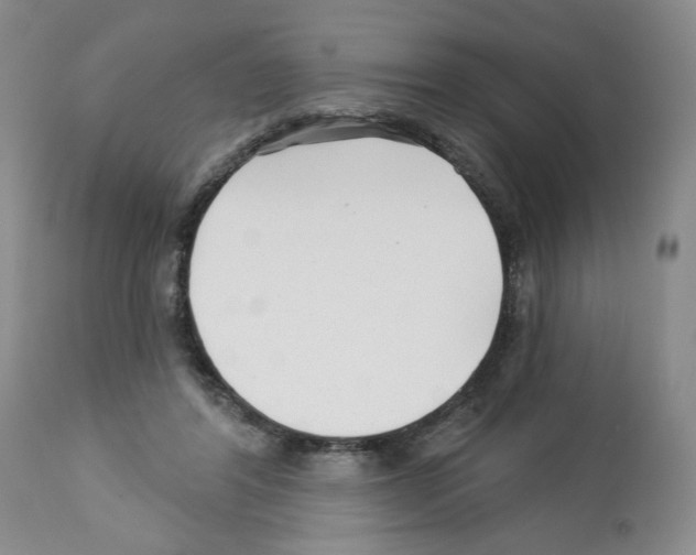 X0000112460404200909281026