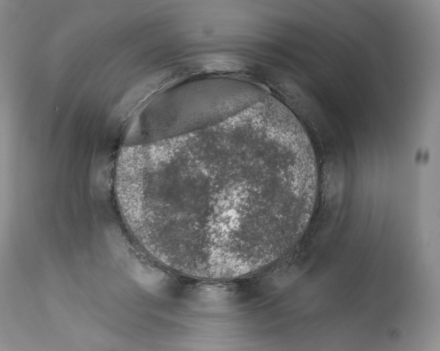 X0000112460405200909281026