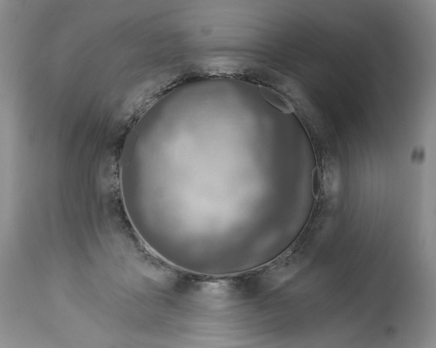X0000112460411200909281026
