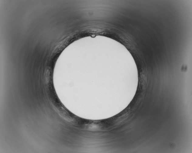 X0000112460412200909281026