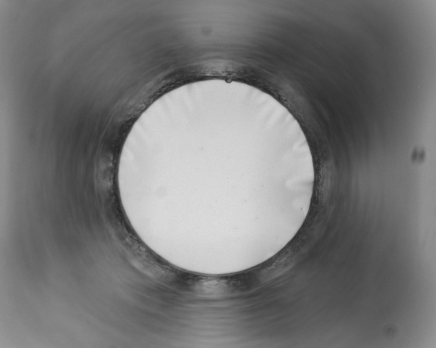 X0000112460413200909281026