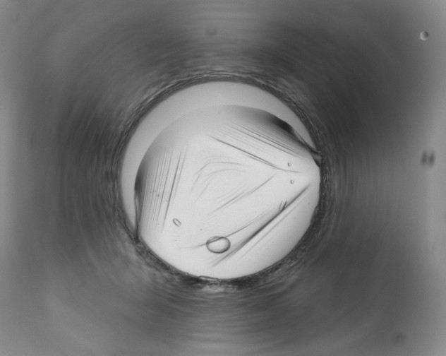 X0000112460415200909281025