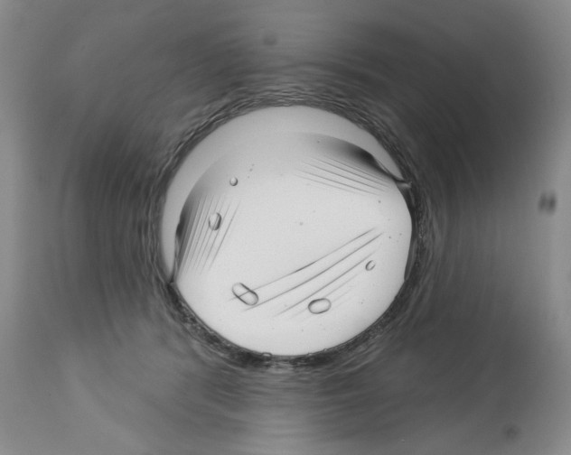 X0000112460416200909281025