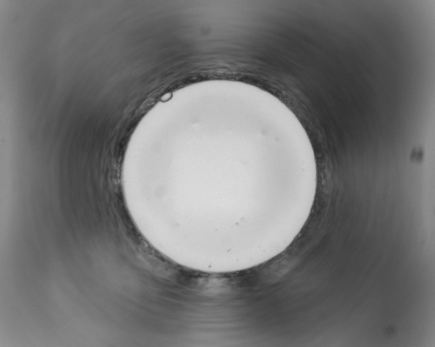 X0000112460419200909281025