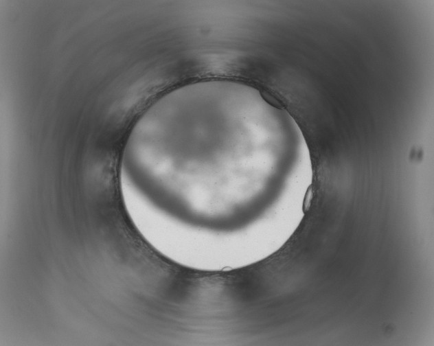 X0000112460423200909281025