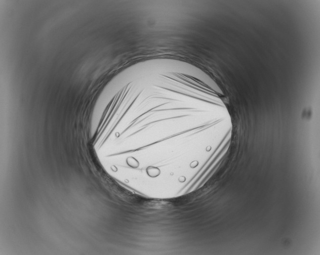 X0000112460427200909281025