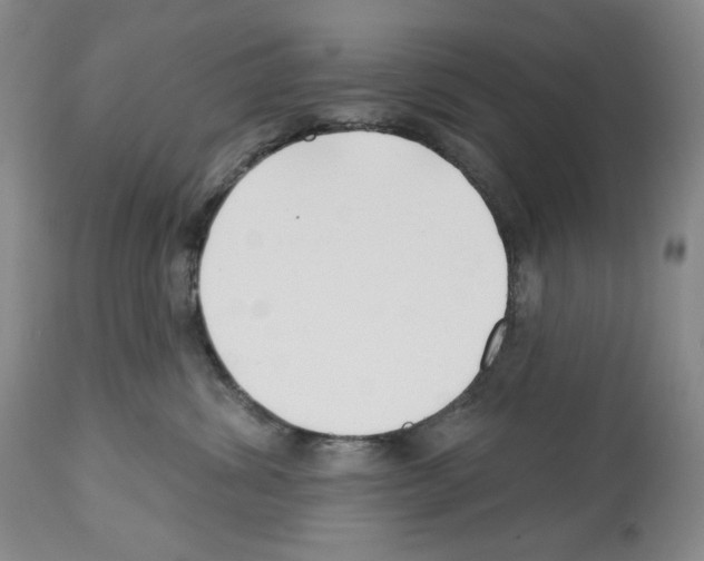 X0000112460428200909281025