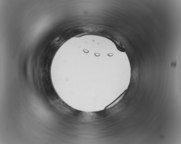 X0000112460429200909281025