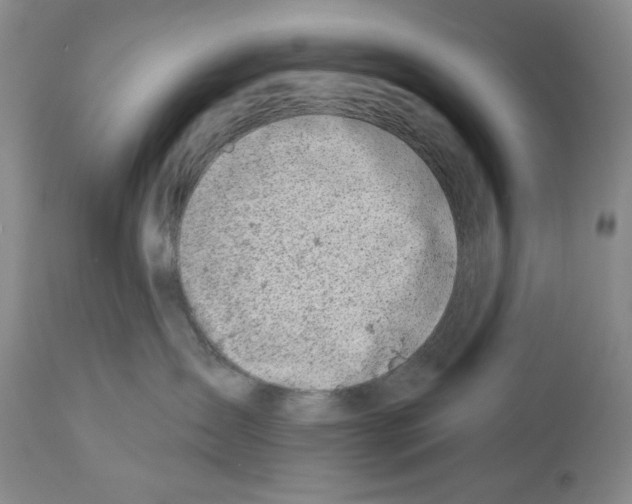 X0000112460431200909281025