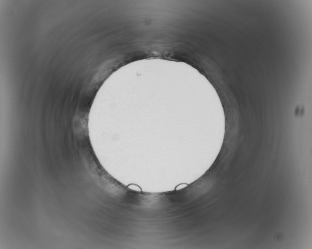 X0000112460432200909281025