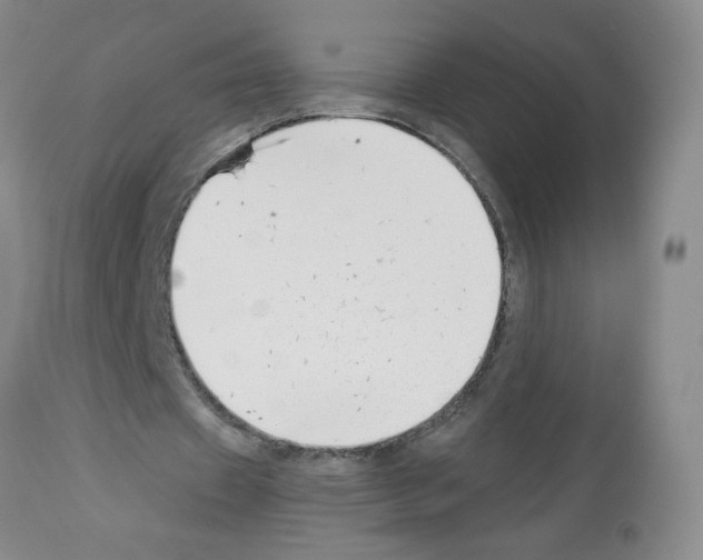 X0000112460433200909281025