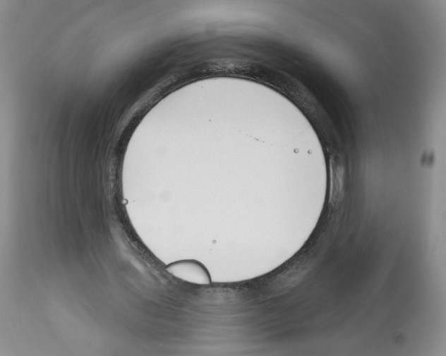 X0000112460435200909281025