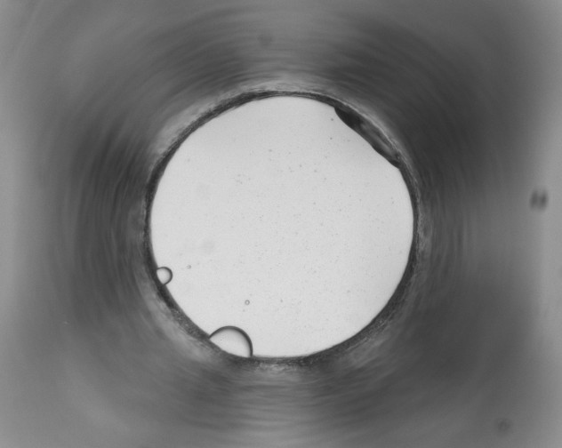 X0000112460437200909281025
