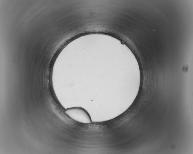 X0000112460439200909281025