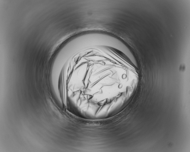 X0000112460440200909281025
