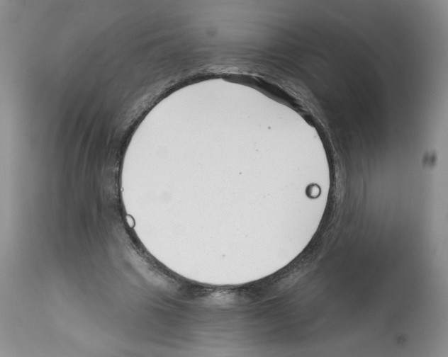 X0000112460441200909281025