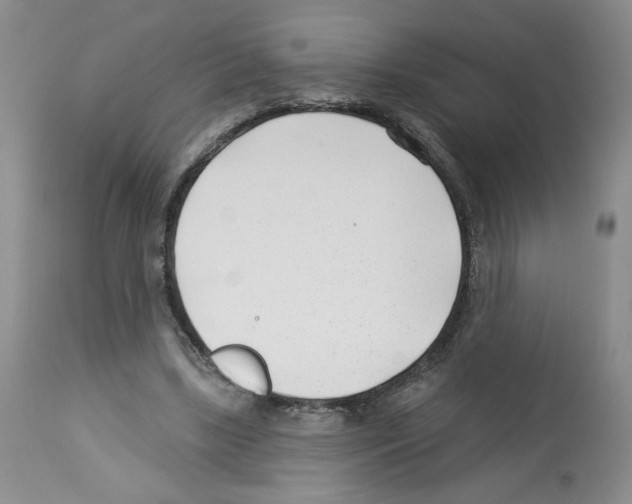 X0000112460443200909281025
