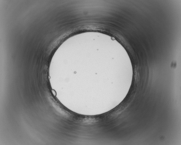 X0000112460445200909281025
