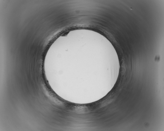 X0000112460446200909281025