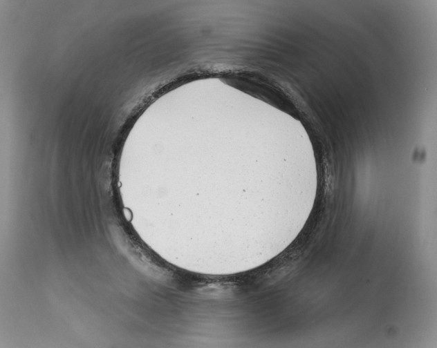 X0000112460447200909281025