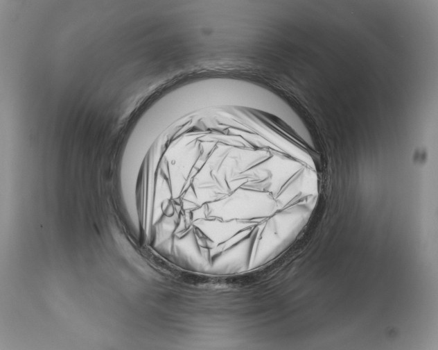 X0000112460448200909281025