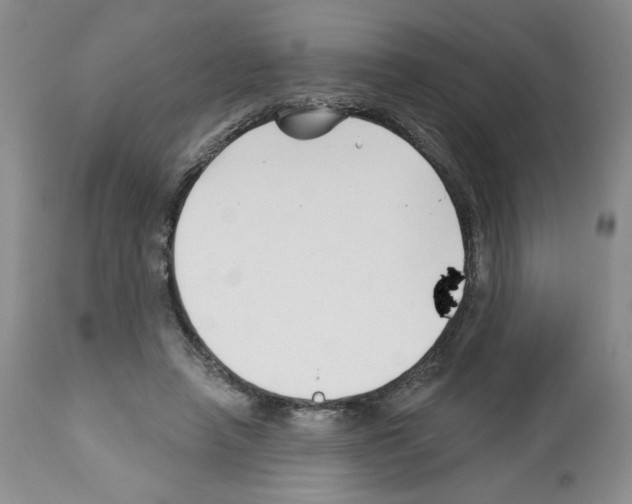 X0000112460450200909281025