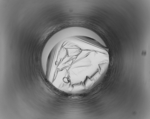X0000112460452200909281025