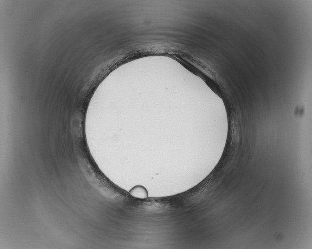 X0000112460453200909281025