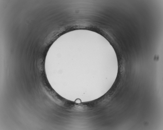 X0000112460455200909281025