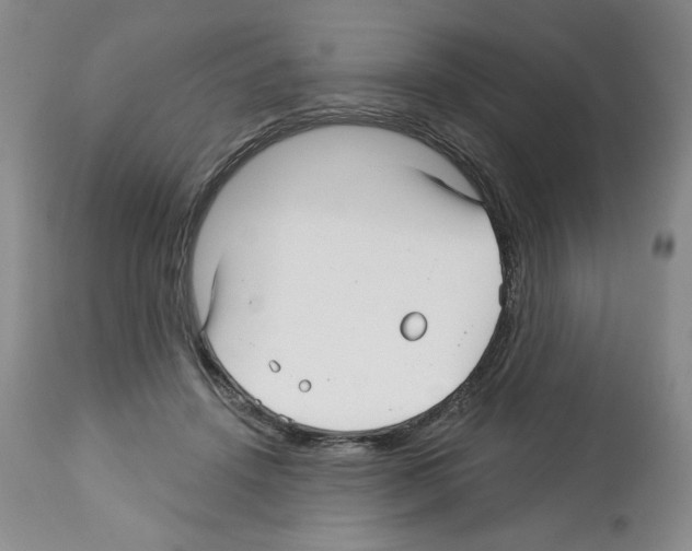 X0000112460456200909281025