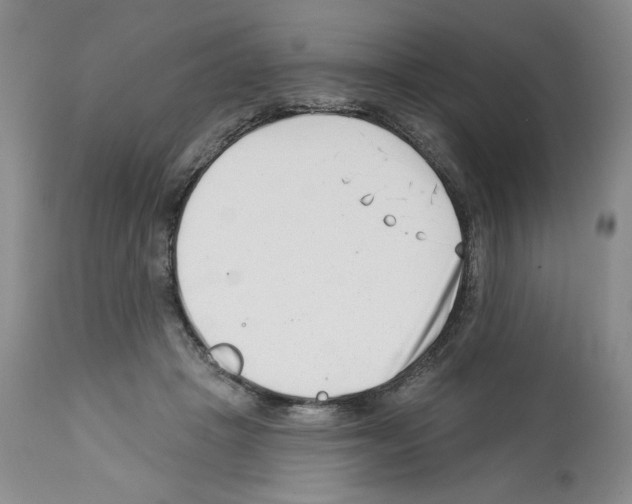X0000112460457200909281025