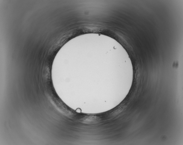X0000112460459200909281025