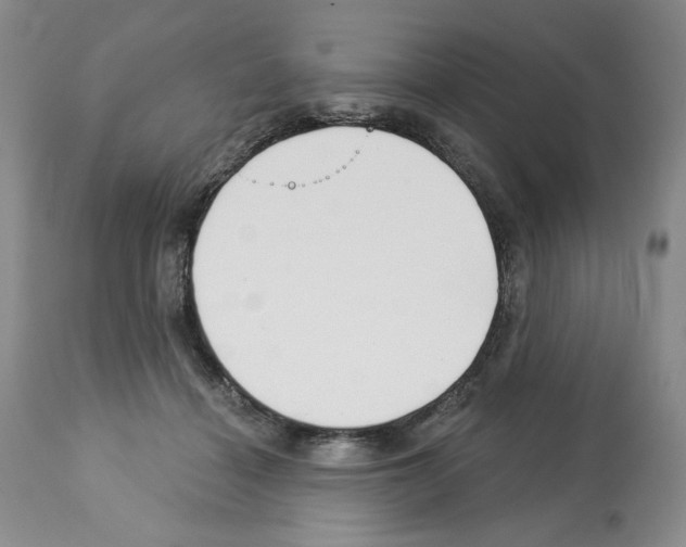 X0000112460460200909281025
