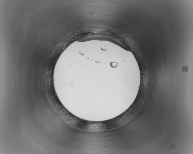 X0000112460461200909281025