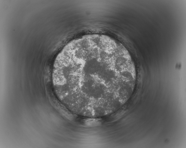 X0000112460465200909281025
