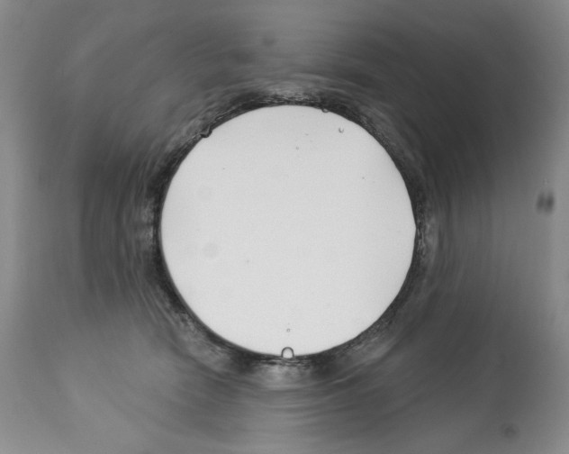 X0000112460466200909281025